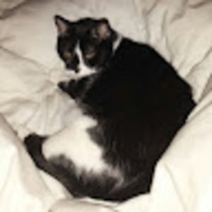 Meet your Posher, Zachary